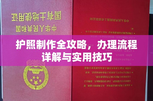 西夏护照制作全攻略，办理流程详解与实用技巧