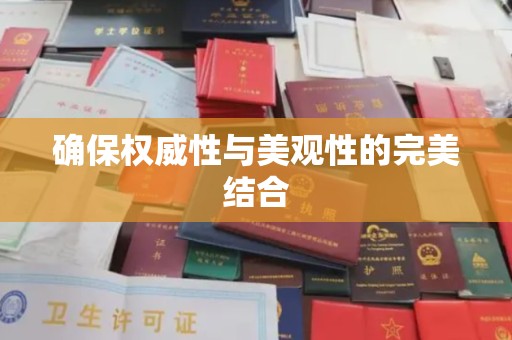 西夏确保权威性与美观性的完美结合