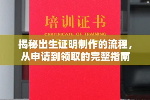西夏揭秘出生证明制作的流程，从申请到领取的完整指南