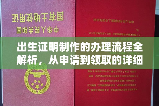 西夏出生证明制作的办理流程全解析，从申请到领取的详细指南