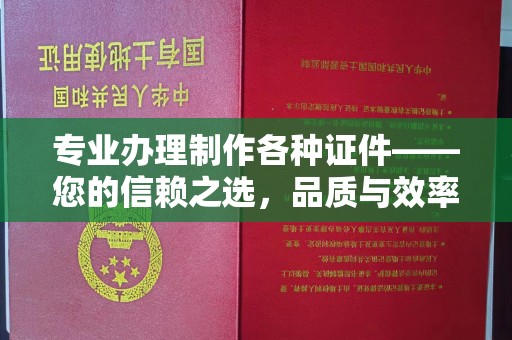 西夏专业办理制作各种证件——您的信赖之选，品质与效率的完美结合