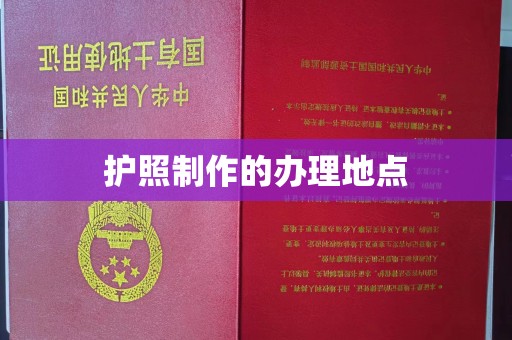 西夏护照制作的办理地点