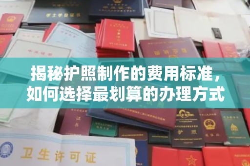 西夏揭秘护照制作的费用标准，如何选择最划算的办理方式？