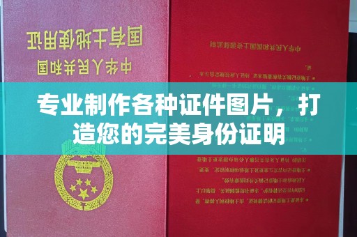 西夏专业制作各种证件图片，打造您的完美身份证明