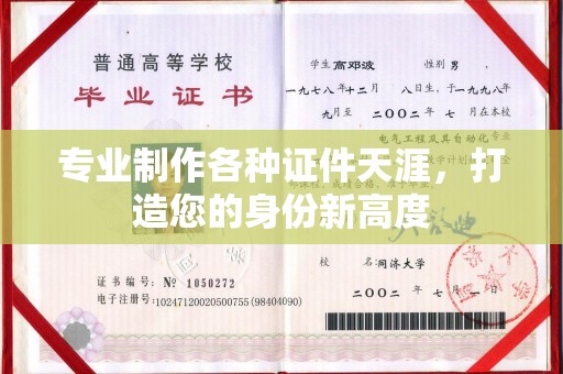 西夏专业制作各种证件天涯，打造您的身份新高度