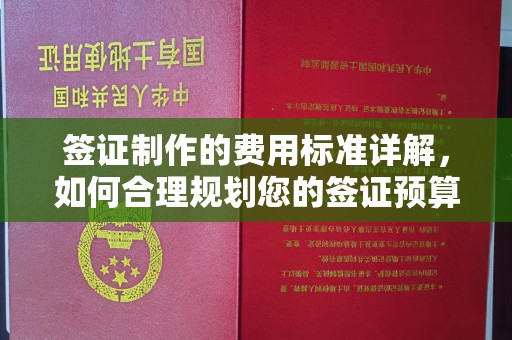 西夏签证制作的费用标准详解，如何合理规划您的签证预算