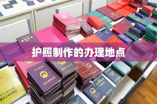 西夏护照制作的办理地点