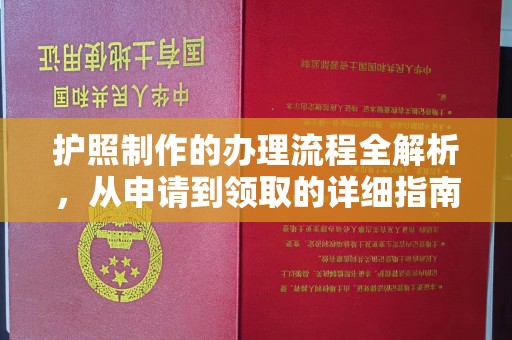 西夏护照制作的办理流程全解析，从申请到领取的详细指南