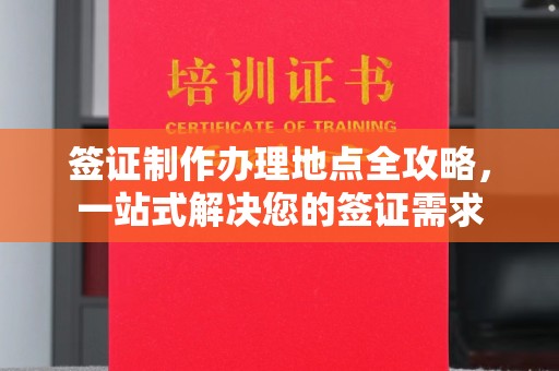 西夏签证制作办理地点全攻略，一站式解决您的签证需求