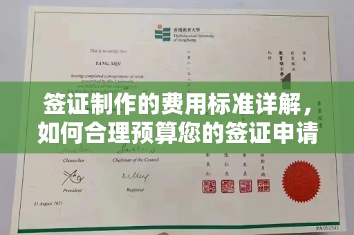 西夏签证制作的费用标准详解，如何合理预算您的签证申请成本