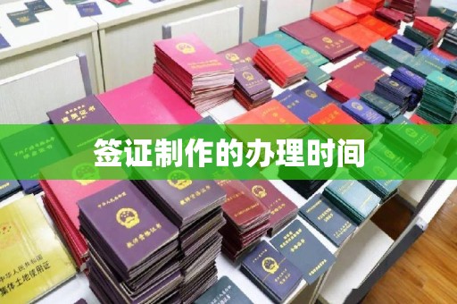 西夏签证制作的办理时间