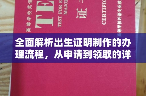 西夏全面解析出生证明制作的办理流程，从申请到领取的详细指南